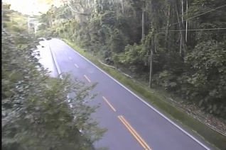 台18線 65K+970 嘉義縣阿里山鄉迷糊步道 東向路側即時影像