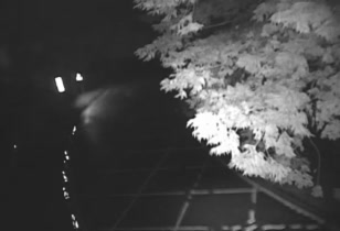 台7線 66K+600 往大同鄉明池遊樂區方向西(逆)即時影像