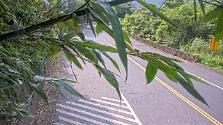 台9線 37K+100 坪林區北宜公路水柳腳(N)即時影像